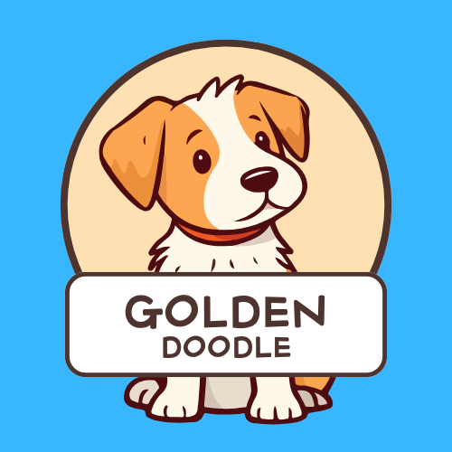 F1bb Mini Goldendoodle